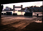 沼津港で見た景色