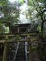 益山寺の大木