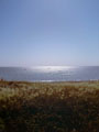 海辺へ行く