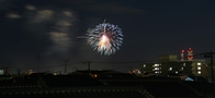 沼津・夏祭り