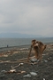 沼津千本浜