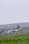 沼津千本浜