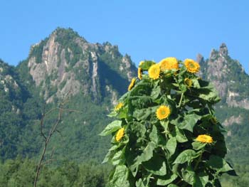 2001081402