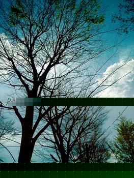 2004040503