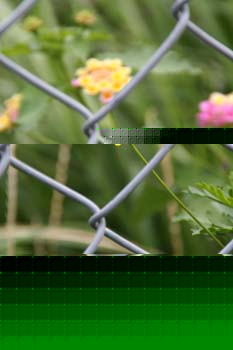 20050619191345