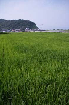 20050722220905