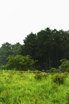 20050803195733