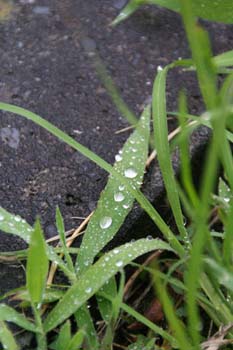 20050803195835