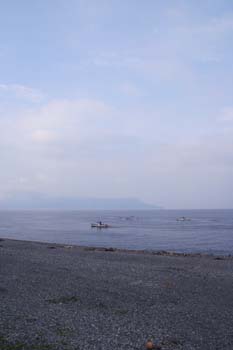 20050811000135