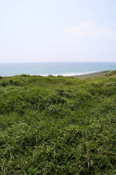 20050814152957