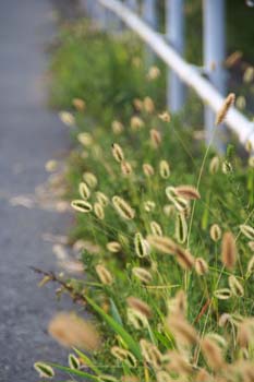 20050817220145