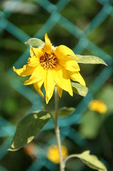 20050818172225