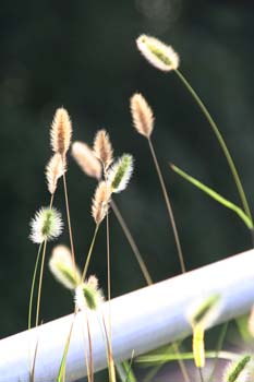 20050818172803