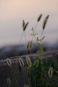 20050827224007