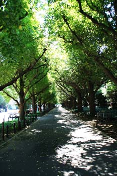 20050915214054