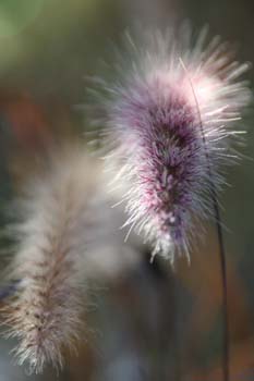 20051008150501