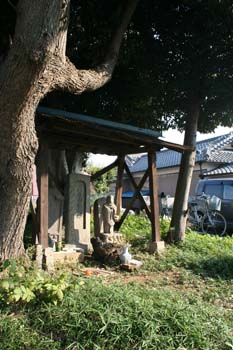 20051112222235