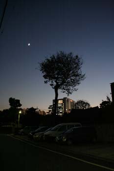 20051209071512