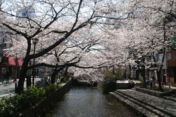 20060408063704