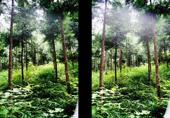 20060822224536