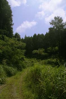 20060824222912