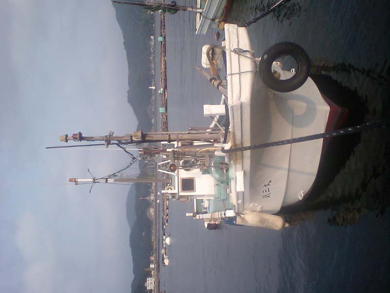 HI370099