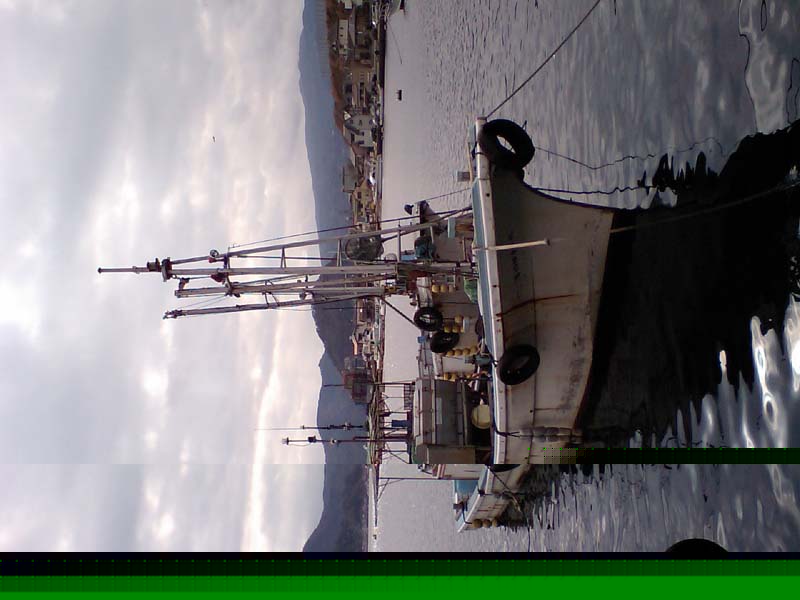 HI370254