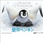 http://www.gaga.ne.jp/emperor-penguin/images/7_800_600.jpg