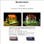 Welcome to Morphovision