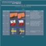 Computer Simulations in Physics